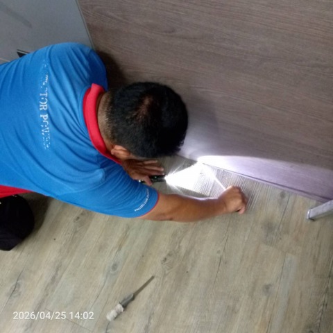 บริษัทกำจัดแมลง พัทยา